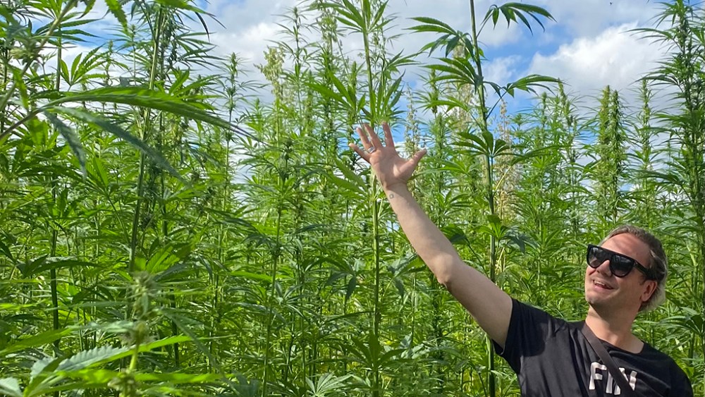 Nicholas Kirwood, hemp farm, UK, factory, sustainability