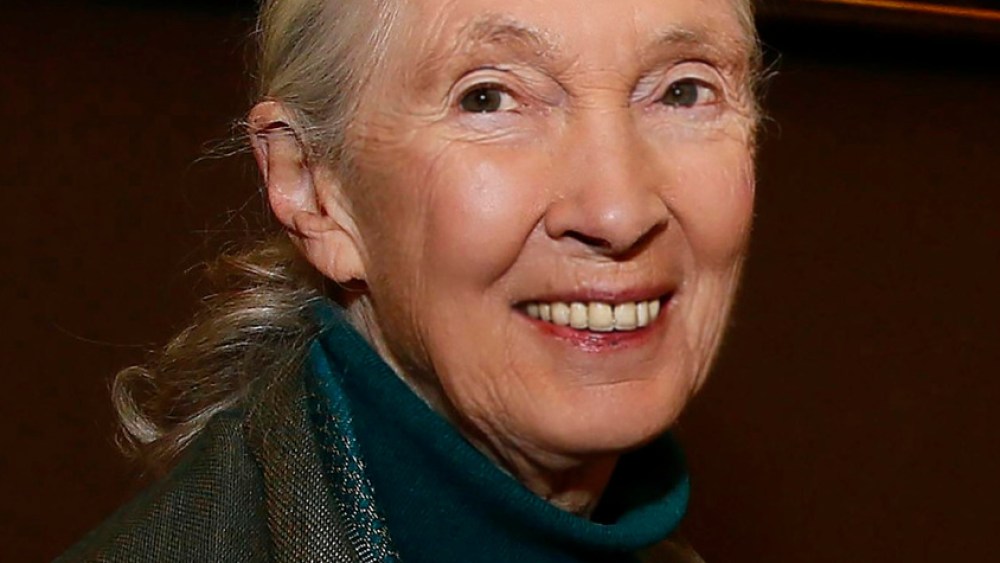 Dr. Jane Goodall, DBE