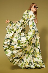 Roberto Cavalli Resort 2024