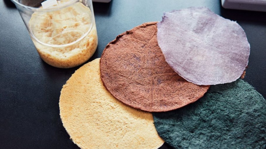 ReProLeather is a research project from H&M Foundation and HKRITA.