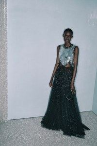 Valentino Pre-Fall 2024