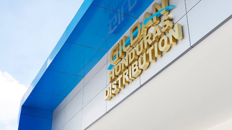 Gildan's board slammed former CEO Glenn Chamandy for nondisclosure of information connected to investors seeking to reinstate him.
