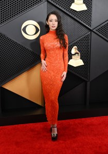 at the 66th Annual GRAMMY Awards held at Crypto.com Arena on February 4, 2024 in Los Angeles, California.