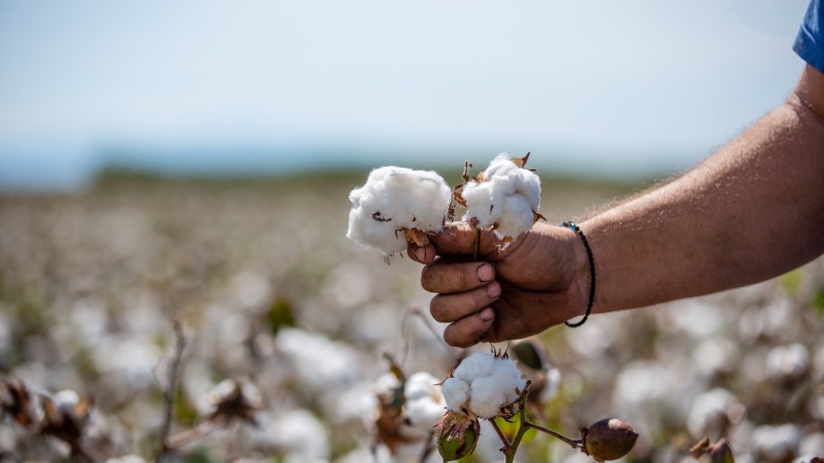 Extending its positive impact within the global fashion supply chain, Nativa Cotton accelerates the shift towards a more sustainable production system, from farm to brand.