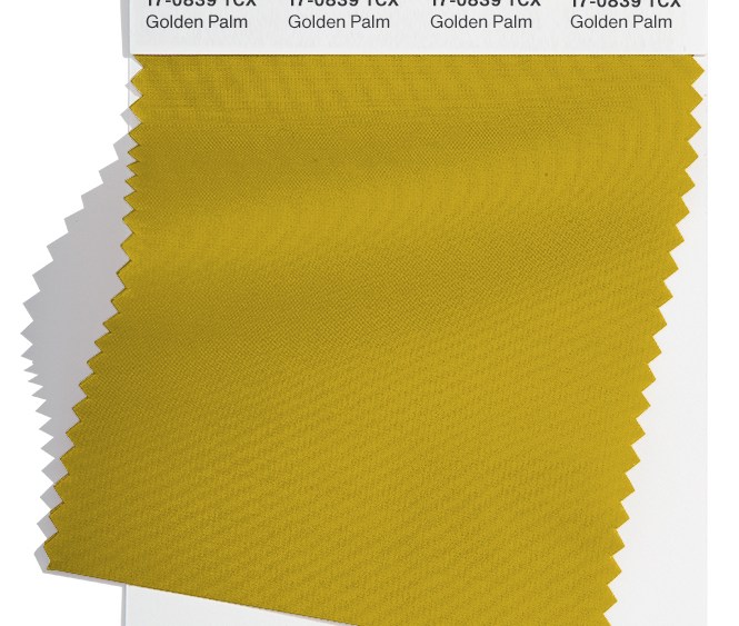 Pantone's Fall/Winter 2024 NYFW Forecast