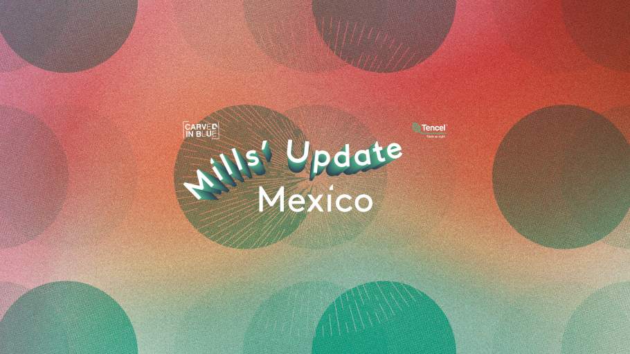 Carved in Blue Mill Update