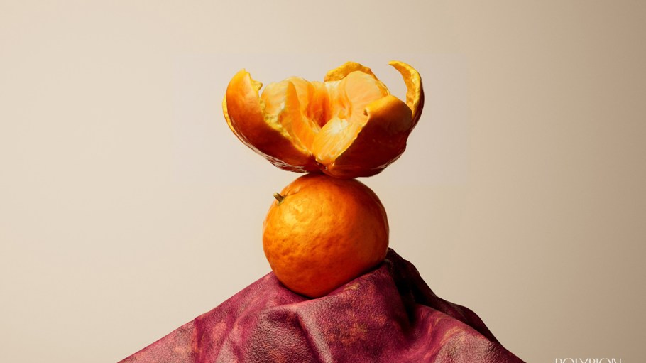 By harnessing the power of bacteria to convert leftover fruit into premium cultivated cellulose, Polybion not only addresses environmental issues like livestock farming, food waste and plastic pollution but also pioneers a circular, eco-friendly manufacturing model.