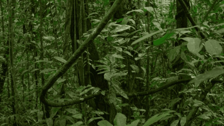Textile Exchange said the MIE tool is for brands, retailers and suppliers to examine potential impacts and dependencies at the start of the value chain—the raw material country of origin level—where the farm, forests or initial production facilities are based.