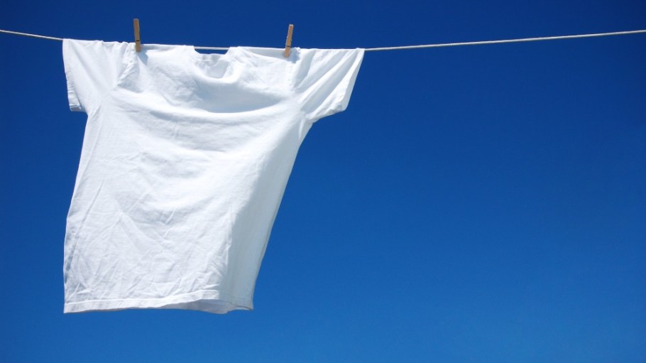 Inditex announced an investment in Boston-based agricultural startup Galy this week.