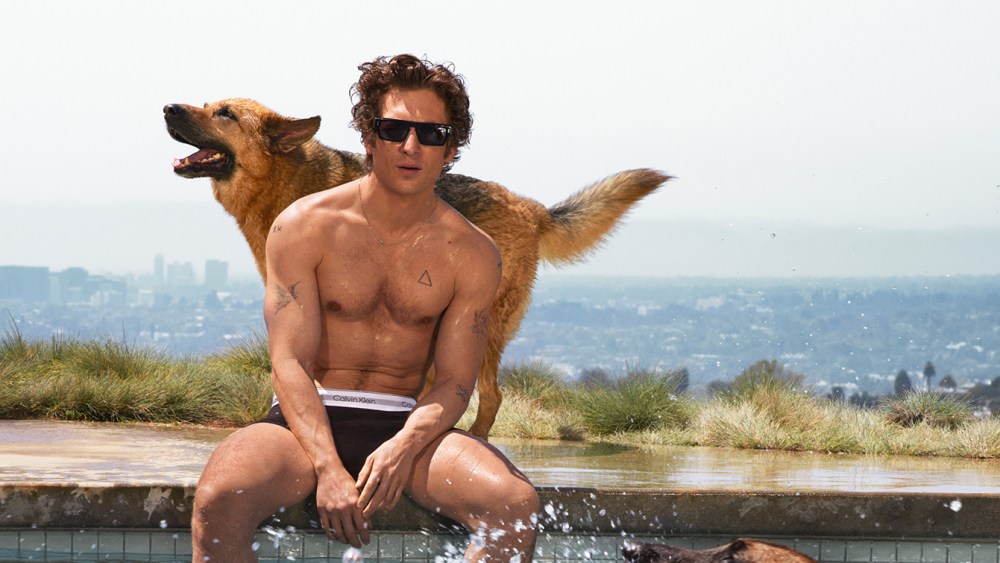 Jeremy Allen White, calvin klein underwear