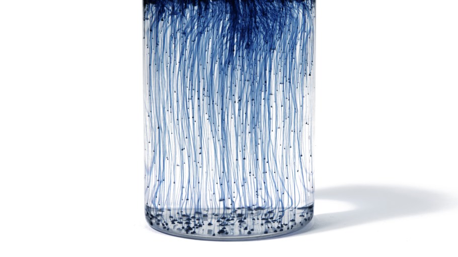 France’s Pili Bio has developed a bio-based solution powered by industrial fermentation.