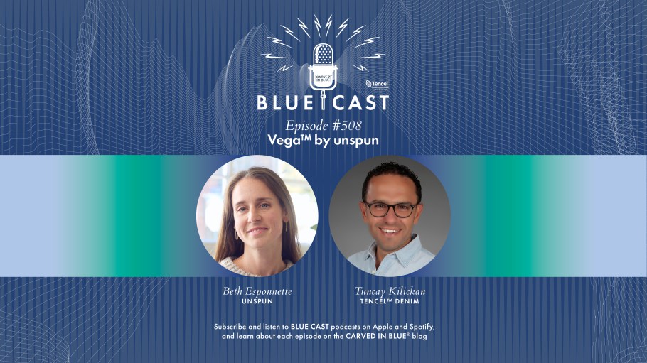 Blue Cast Unspun Beth Esponnette