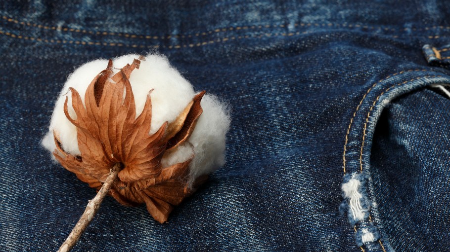 Traceability is coming into play, as shoppers place a bigger import on knowing more about what they’re buying.