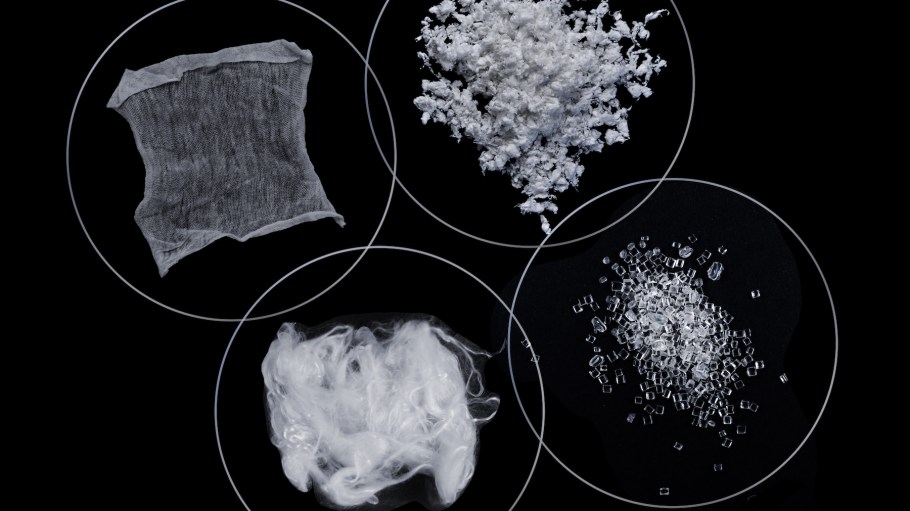 Petri dishes showing various stages of Circ’s regenerated cellulose pulp.