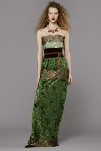 Roberto Cavalli Pre-Fall 2025 Collection