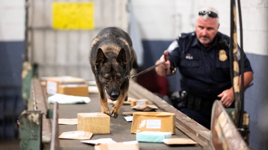 An officer from the Customs and Border Protection, Trade and Cargo Division works with a dog to check parcels at John F. Kennedy Airport's U.S. Postal Service facility.