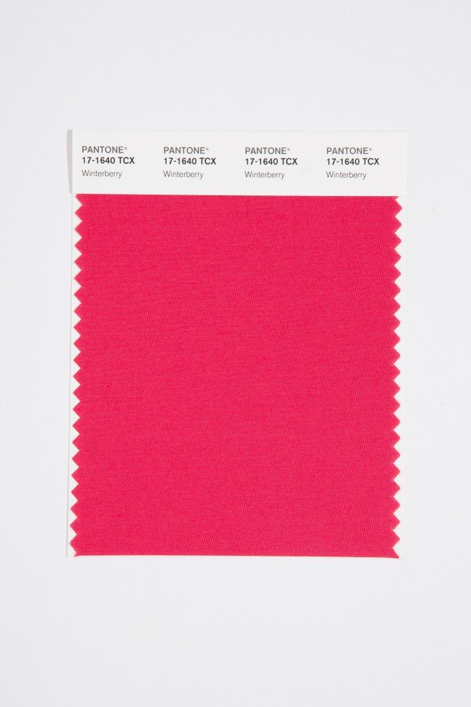 Winterberry 17-1640
