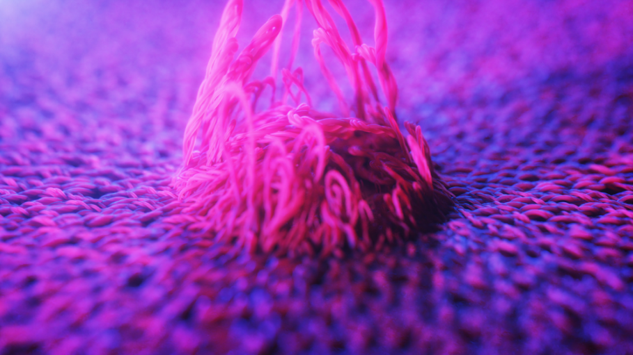 A technology exclusive to MycoWorks, Fine Mycelium™ engineers mycelium cells as they grow to create three-dimensional structures that are densely entwined, and inherently strong.