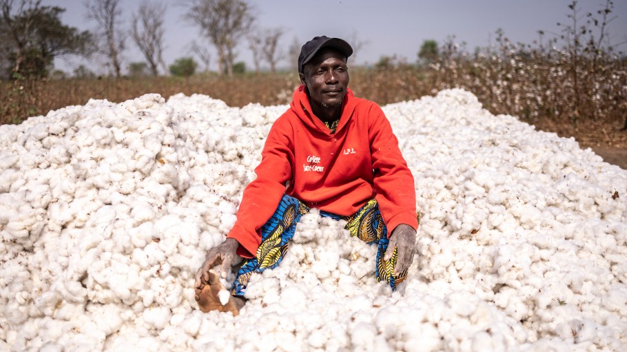 Mathias Azonnoudo, 50, who is a farmer, poses for a photograph next to cotton in his field in Soclogbo, on January 13, 2025.