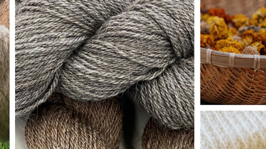 From left: Gail Zucker for Hudson Valley Textile Project, Graze, Black Fiber & Textile Network, and New York Textile Lab.