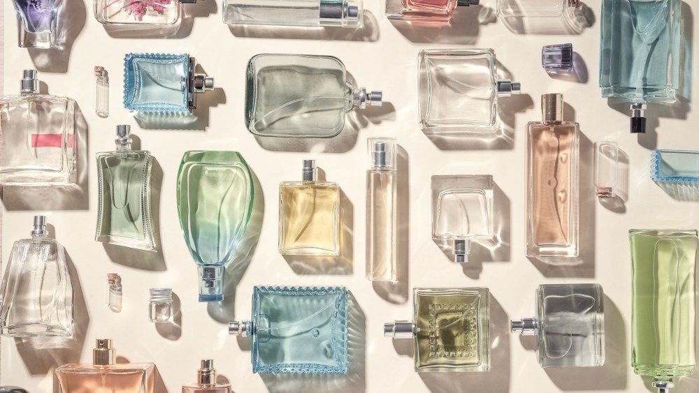 How are fragrance sales expected to develop this year?