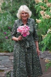 LONDON, ENGLAND - MAY 20: Queen Camilla holds David Austin Roses called "The King's Rose", during a visit to the RHS Chelsea Flower Show at Royal Hospital Chelsea on May 20, 2025 in London, England. (Photo by Toby Melville - WPA Pool/Getty Images)