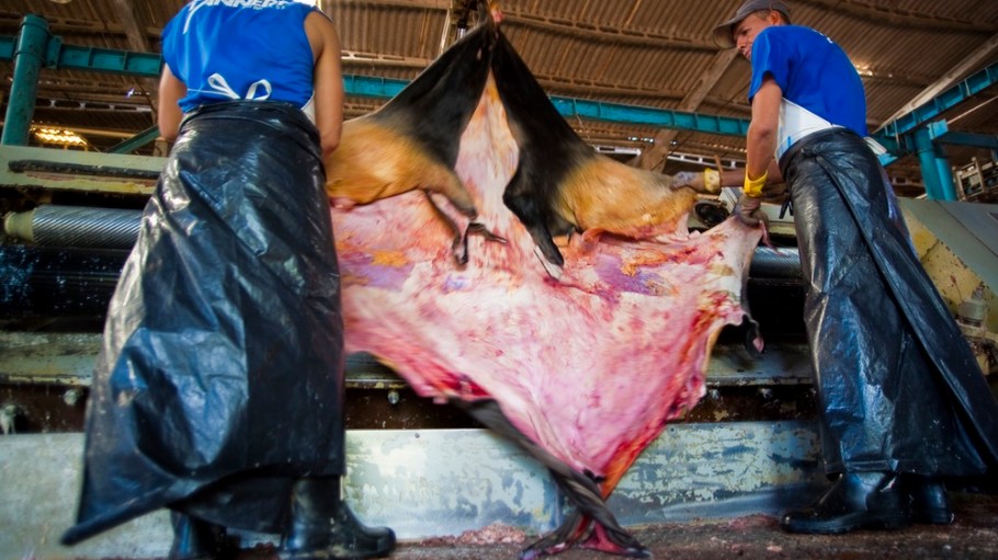 Leather tannery