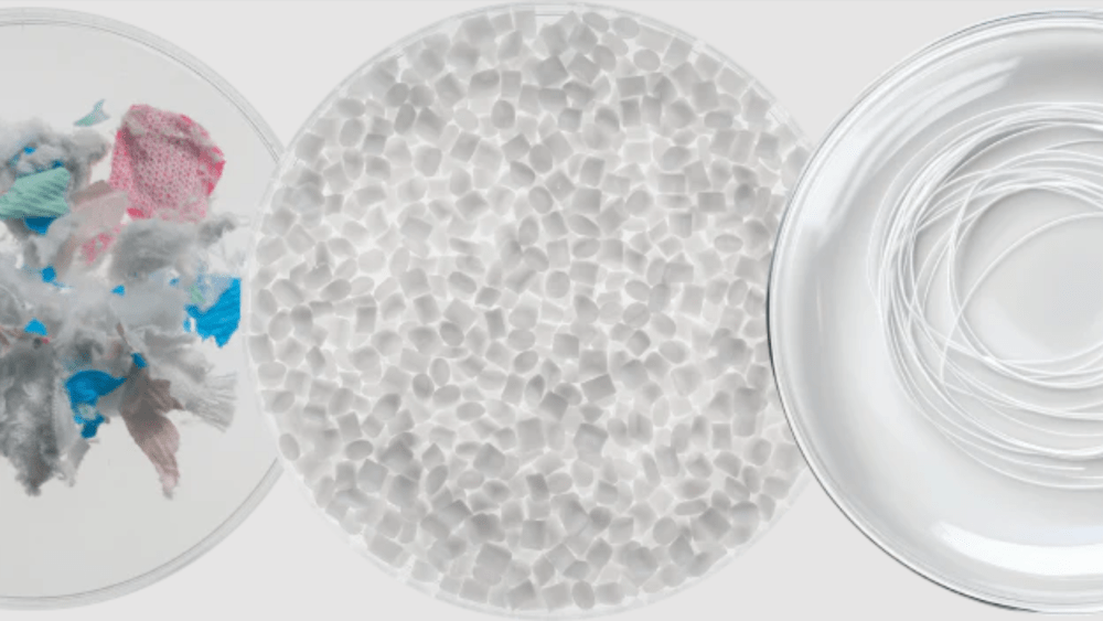 petri dishes of recycled textile