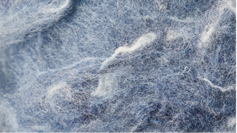 Moored by the mission to build circular systems turning used textiles into new raw materials, Accelerating Circularity’s inaugural lookbook rounds up a few dozen commercially-available circular materials from its U.S. and EU trials.