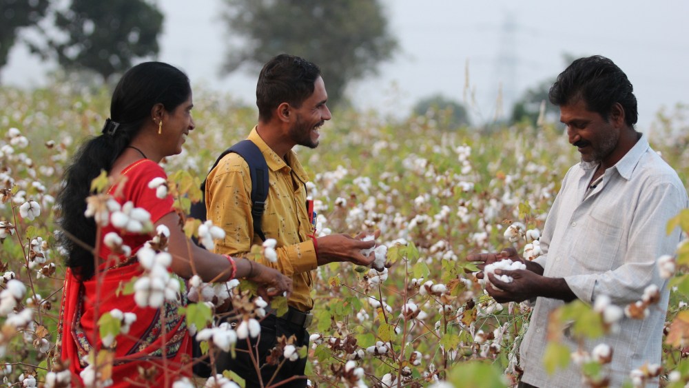 Kering and Inditex-backed Regenerative Fund for Nature project for cotton in India.