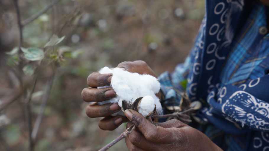 The father-daughter duo behind fashion brands Terra Thread and Gallant International have introduced a new Regenerative Organic Certified (ROC) cotton clothing line called Vottera.