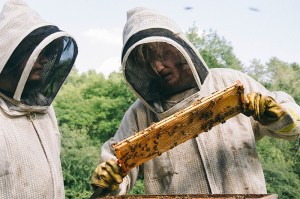 BUGONIA, from left: Aidan Delbis, Jesse Plemons, 2025. ph: Atsushi Nishijima / ©Focus Features / Courtesy Everett Collection