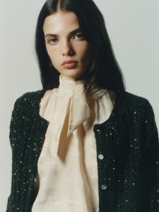 A preview look at the Dior Pre-Fall 2026 collection