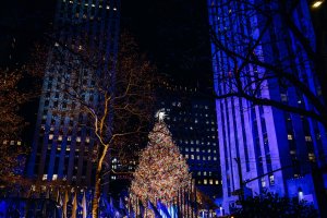 The Rockefeller Center Tree Lighting