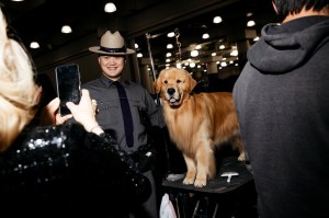 Westminster Dog Show 2026
