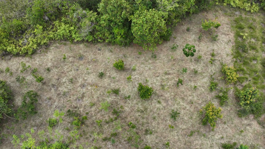 aerial photograph of a landscape restoration project