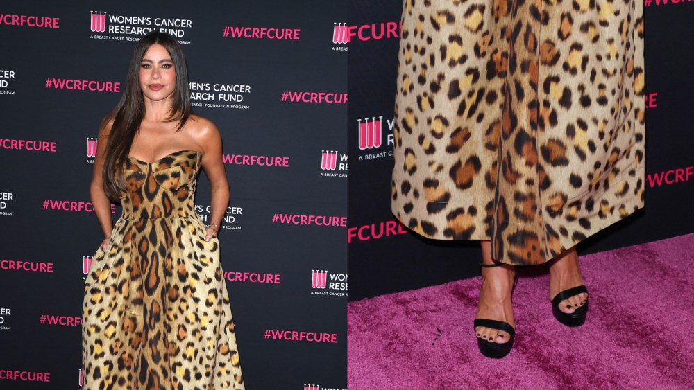 On Wednesday night, Sofia Vergara attended a benefit gala in Los Angeles, wearing a leopard dress and platform sandals.