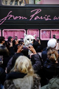 The scene at the Karl Lagerfeld 2026 Spring Campaign launch.